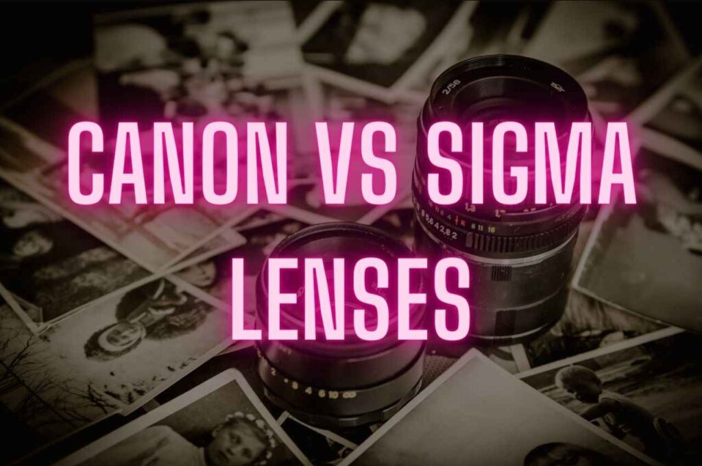 Canon Vs Sigma Lenses