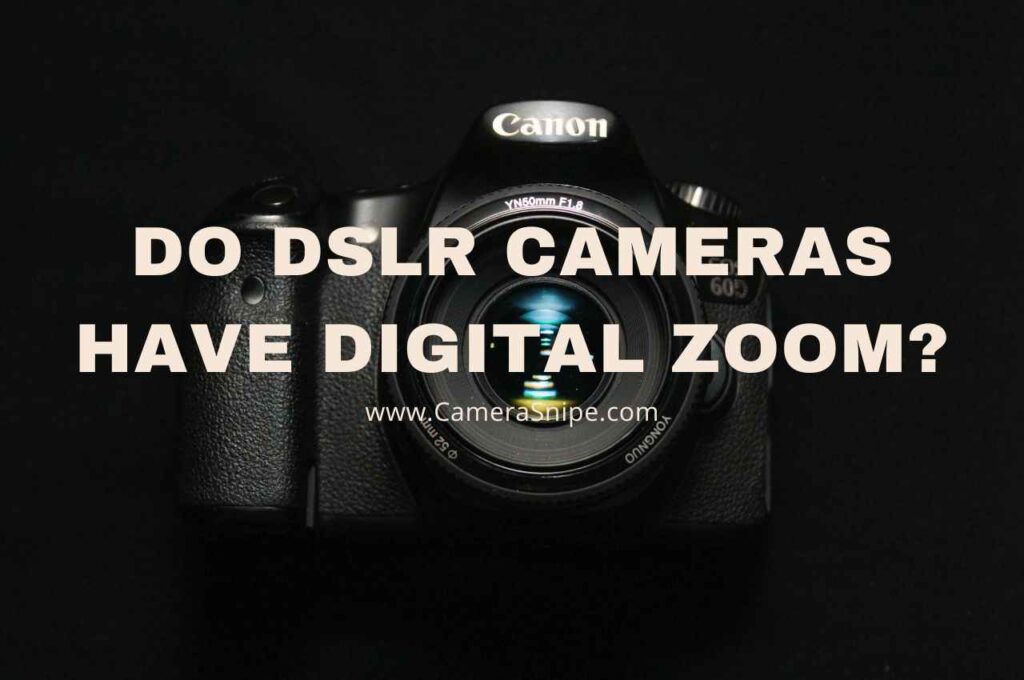 Do DSLR Cameras Have Digital Zoom