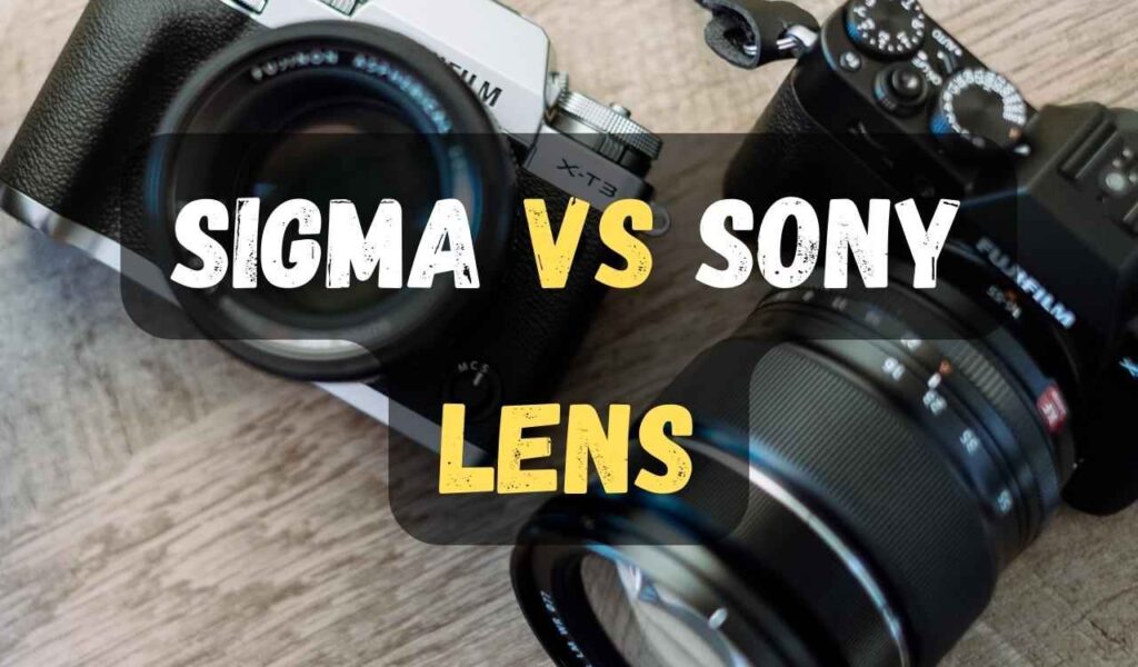 Sigma Vs Sony Lenses