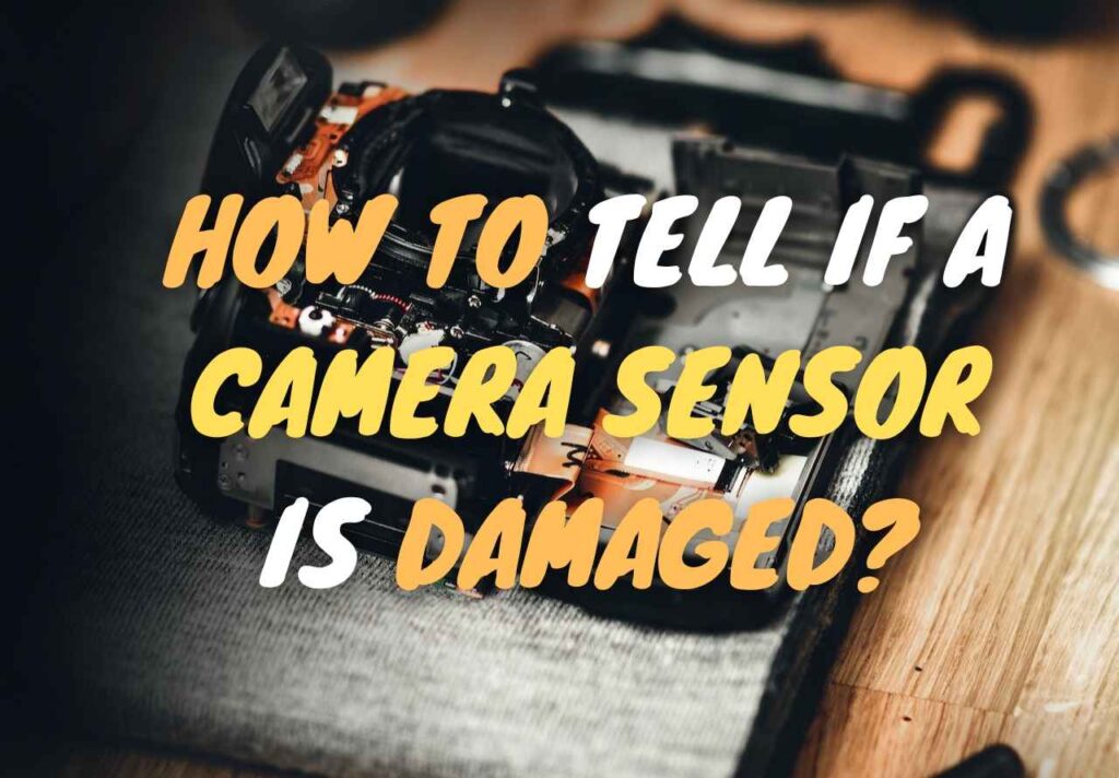 How To Tell If A Camera Sensor Is Damaged